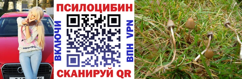 Псилоцибиновые грибы Psilocybine cubensis Саки